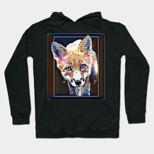 Celestial Fox Hoodie